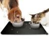 Merkloos Winkrs - Placemat Voor Voerbak Van Hond Of Kat Huisdieren - Zwart Siliconen Waterdicht - 30 X 48 Cm 1 Merkloos Winkrs - Placemat Voor Voerbak Van Hond Of Kat Huisdieren - Zwart Siliconen Waterdicht - 30 X 48 Cm -Bormioli Rocco winkel 1200x1200 682
