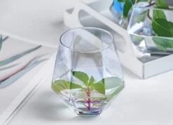 Luxaliving Waterkaraf Met 6 Glazen - Inhoud 1,2 Liter - Vaatwasser Bestendig - Glazenset - Karaf - Drankglazen -Bormioli Rocco winkel 1200x870 6