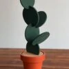 O.N. Der Zetter - Onderzetters Voor Glazen - Cactus - 7 Stuks - Met Houder - Rond - Groen - Kurk - Waterafstotend - Uniek - Housewarming - Decoratie - Coasters - Afscheid - Verjaardag - Kado - Man - Vrouw Cadeau Duurzaam Geschenk Feest Pasen 20 Euro 1 O.N. Der Zetter - Onderzetters Voor Glazen - Cactus - 7 Stuks - Met Houder - Rond - Groen - Kurk - Waterafstotend - Uniek - Housewarming - Decoratie - Coasters - Afscheid - Verjaardag - Kado - Man - Vrouw Cadeau Duurzaam Geschenk Feest Pasen 20 Euro -Bormioli Rocco winkel 832x1200 1