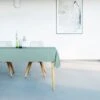 Mistral Home - Tafelkleed Waterafstotend - 150x250 Cm - Muntgroen 2 Mistral Home - Tafelkleed Waterafstotend - 150x250 Cm - Muntgroen -Bormioli Rocco winkel 849x1200