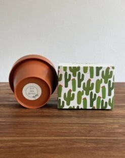 O.N. Der Zetter - Onderzetters Voor Glazen - Cactus - 7 Stuks - Met Houder - Rond - Groen - Kurk - Waterafstotend - Uniek - Housewarming - Decoratie - Coasters - Afscheid - Verjaardag - Kado - Man - Vrouw Cadeau Duurzaam Geschenk Feest Pasen 20 Euro 26 O.N. Der Zetter - Onderzetters Voor Glazen - Cactus - 7 Stuks - Met Houder - Rond - Groen - Kurk - Waterafstotend - Uniek - Housewarming - Decoratie - Coasters - Afscheid - Verjaardag - Kado - Man - Vrouw Cadeau Duurzaam Geschenk Feest Pasen 20 Euro -Bormioli Rocco winkel 943x1200 1
